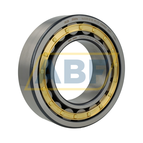 NJ2220-E-XL-M1-C3 FAG