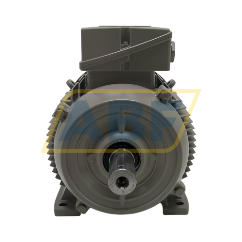 1LE1004-1CA13-4AA4 Siemens