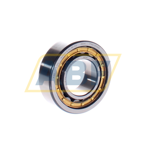 NJ2207-E-XL-M1-C3 FAG