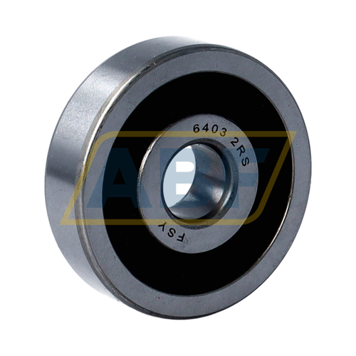 6403 2RS FSY