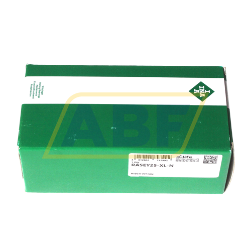 RASEY25-XL-N INA
