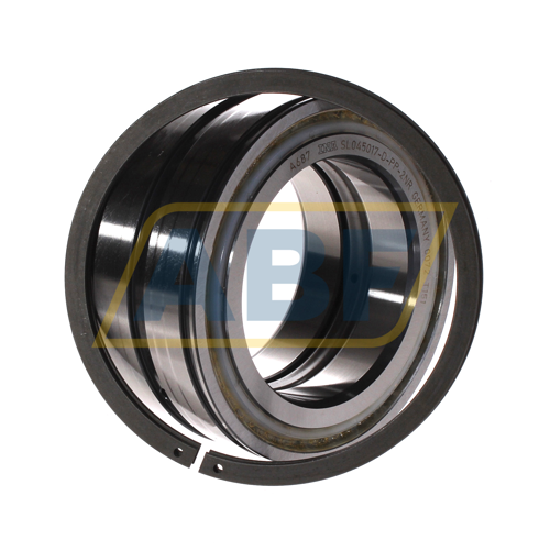 SL045017-D-PP-2NR INA