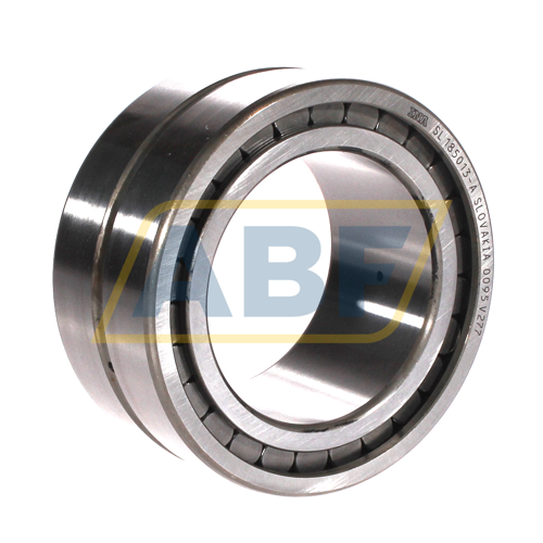 SL185013-A INA
