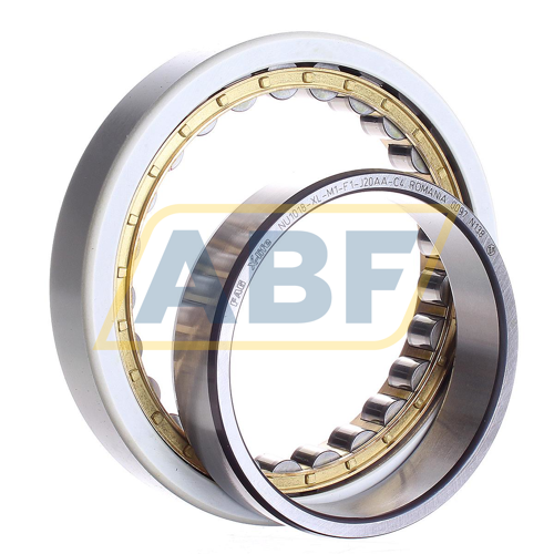 NU1018-XL-M1-F1-J20AA-C4 FAG