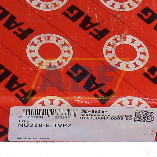 NU218-E-TVP2 FAG