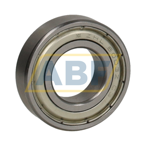 6003-2Z-P6-L077-HLT-R FAG