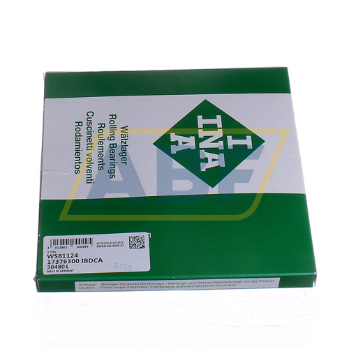 WS81124 INA