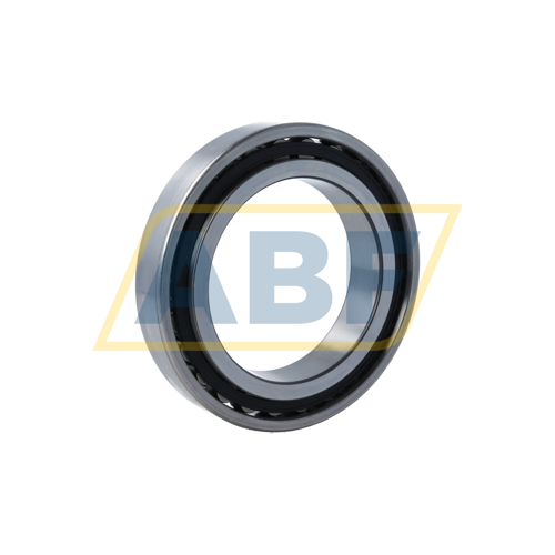 N1018-D-K-TVP-SP-XL FAG