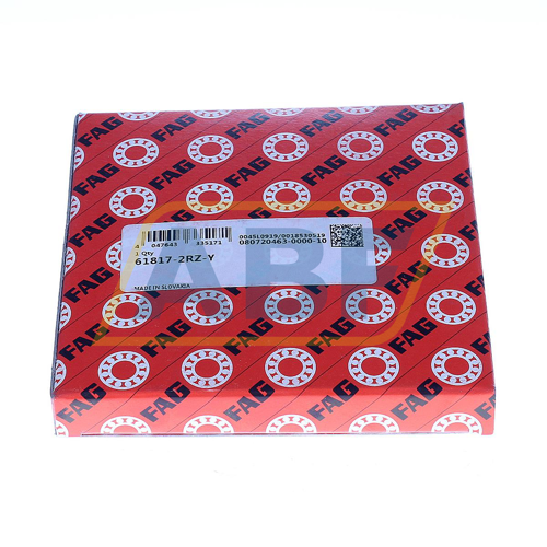 61817-2RZ-Y FAG