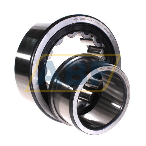 NJ2319-E-XL-TVP2-C3 FAG