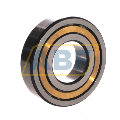 NJ309-E-XL-M1-C3 FAG