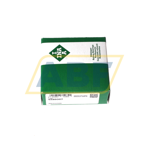 GS89307 INA