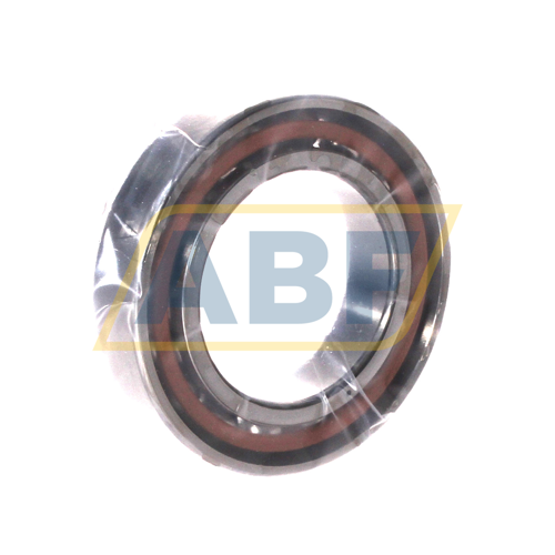 B7009-E-T-P4S-UM FAG