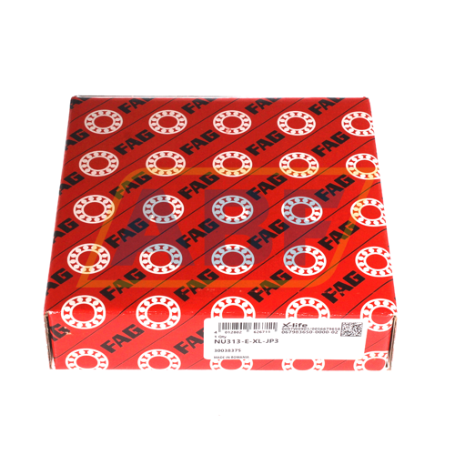 NU313-E-XL-JP3 FAG