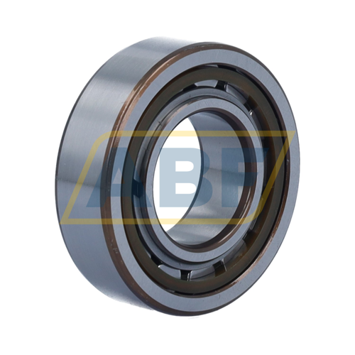 BC1-0312 SKF