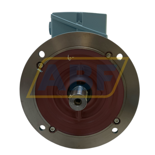 1LE1003-1CB69-0GA4-Z Siemens