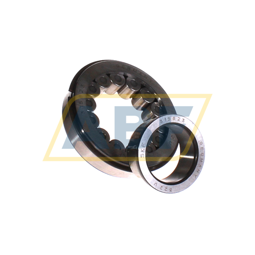 315823 SKF