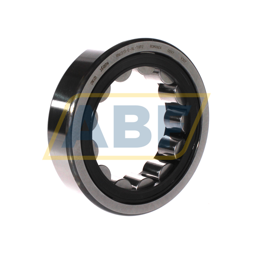 RNU313-E-XL-TVP2 FAG