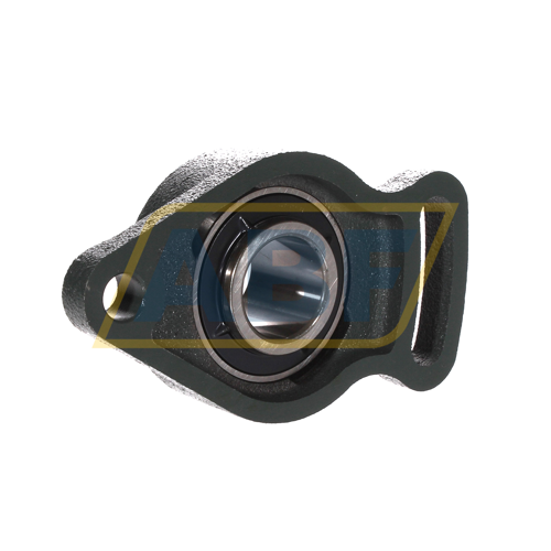 UCFA206D1 NSK
