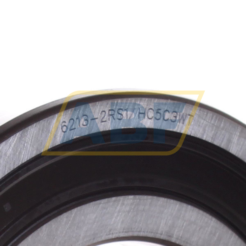6213-2RS1/HC5C3WT SKF