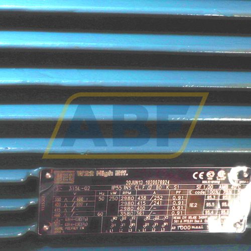 250K32CI2315L2B3 WEG