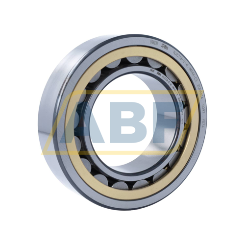 NJ2218-E-XL-MPAX-C3 FAG