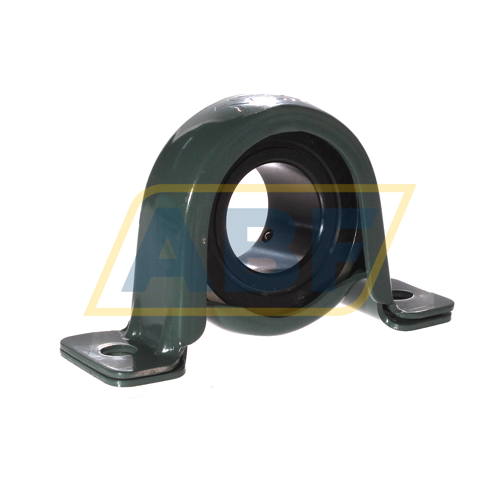 ASPP207 NTN