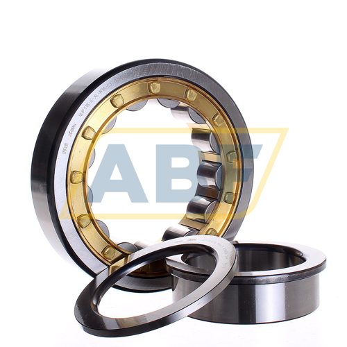 NUP318-E-XL-M1A-C3 FAG