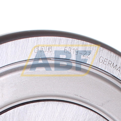 6319-2Z FAG