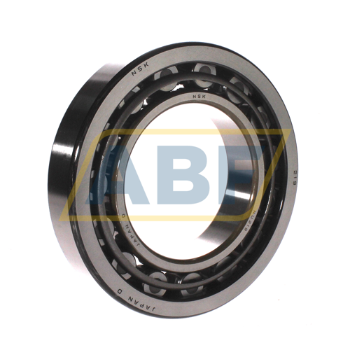 NU219W NSK