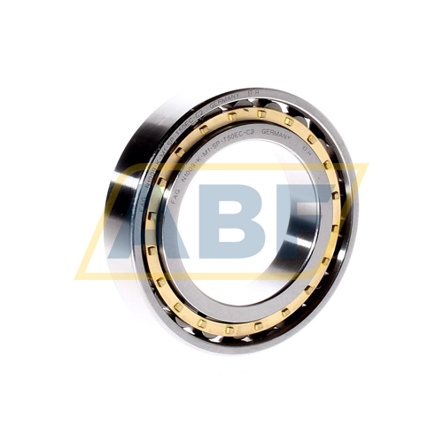 N1009-K-M1-SP-T50EC-C2 FAG