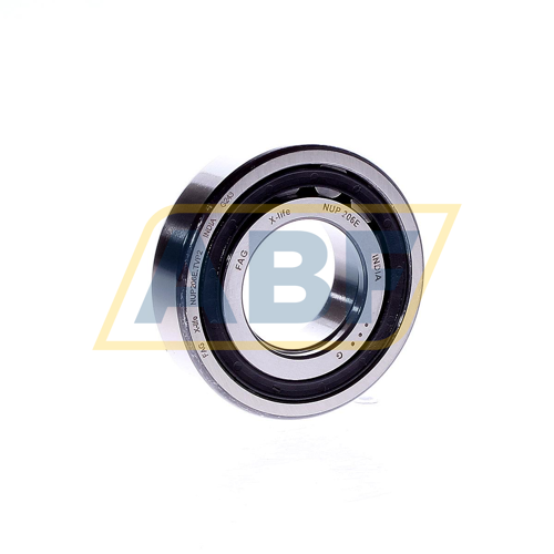 NUP206E.TVP2 FAG
