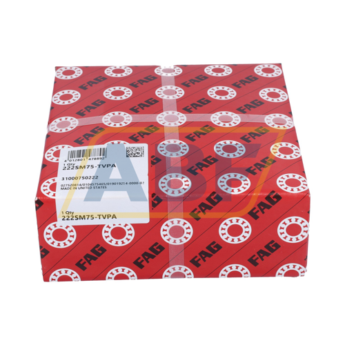 222SM75-TVPA FAG