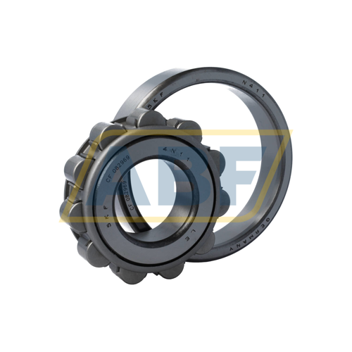 N411/R899 SKF