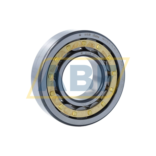 NU310-E-XL-M1-F1-C3 FAG