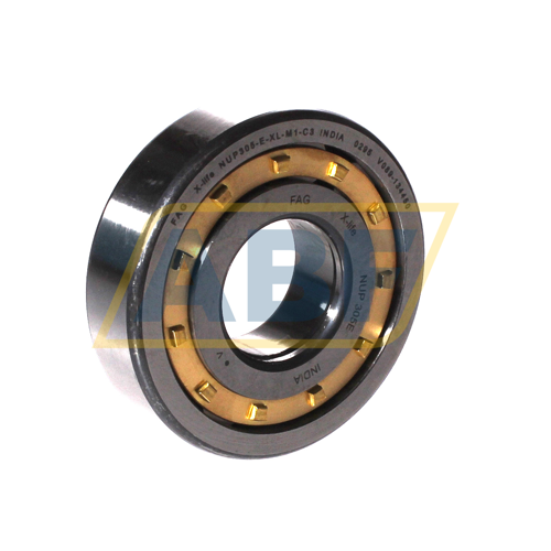 NUP305-E-XL-M1-C3 FAG