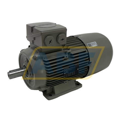 1LE1004-1AB52-2AA4 Siemens