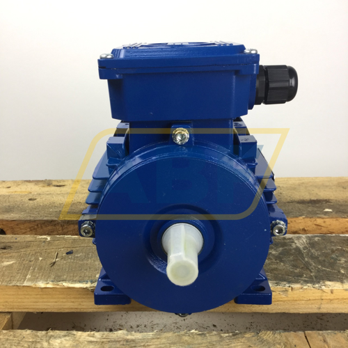 MAA0722A00017 Marelli Motori