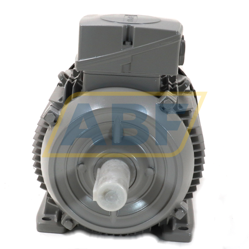 1LE1003-1CB02-2AA4 Siemens