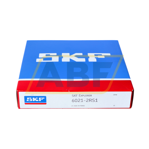 6021-2RS1 SKF