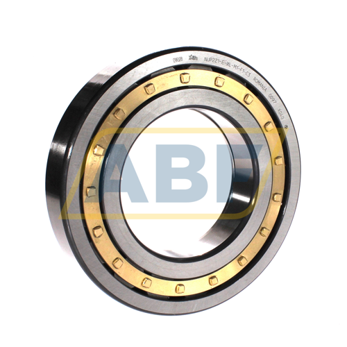 NUP221-E-XL-M1-F1-C3 FAG