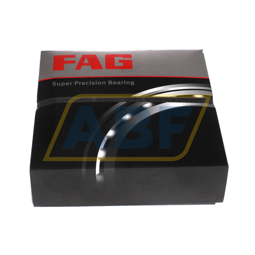 N1020-D-K-TVP-SP-XL FAG