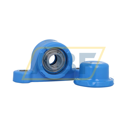 P2BC20M-CPSS-DFH SKF