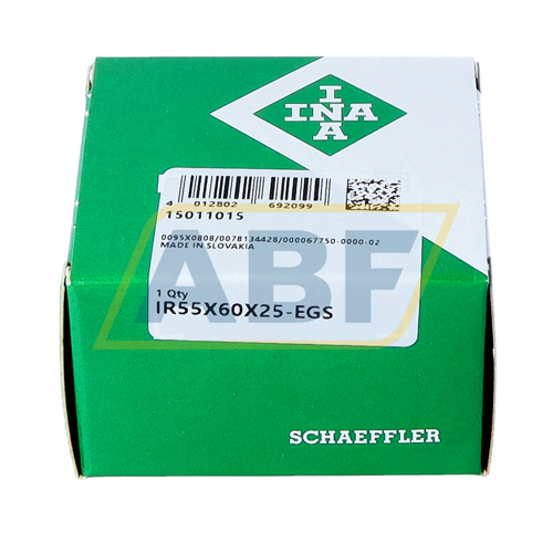 IR55X60X25-EGS INA