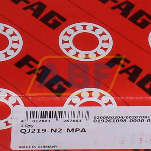 QJ219-N2-MPA FAG