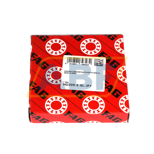 NU209-E-XL-JP1 FAG