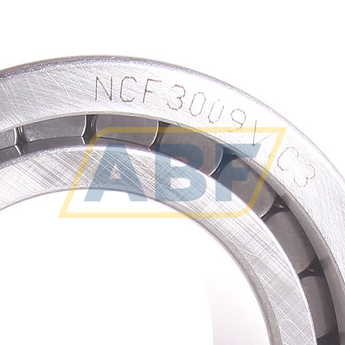NCF3009-V-C3 NKE