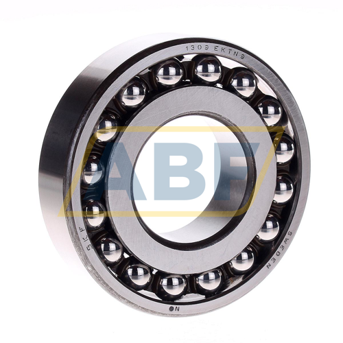 1309EKTN9 SKF