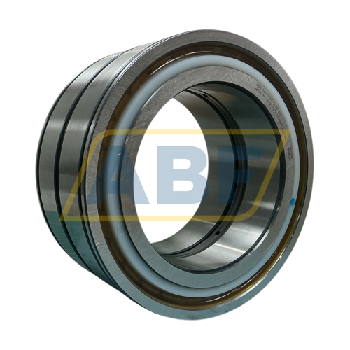 SL045034-D-PP-2NR INA