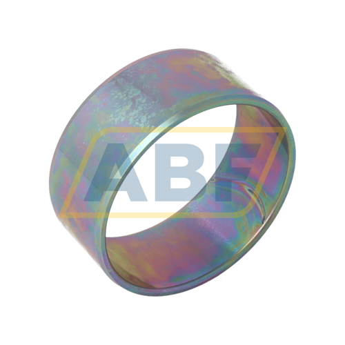 IR55X60X25-RR-XL INA